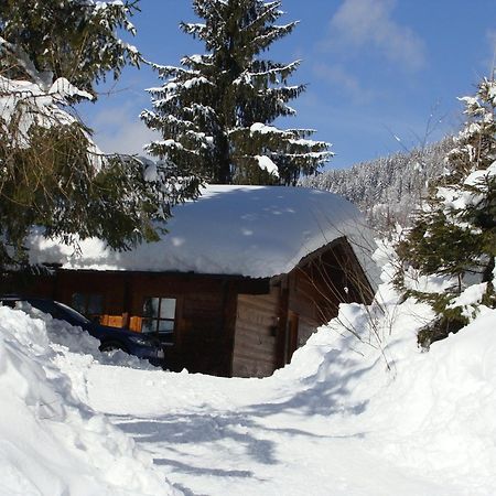 Chalets Ebner Eben Im Pongau Dış mekan fotoğraf