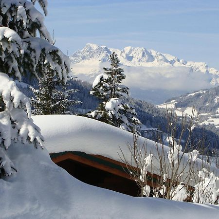 Chalets Ebner Eben Im Pongau Dış mekan fotoğraf